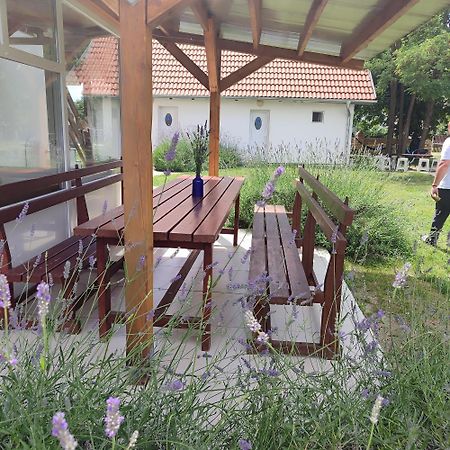 Mirella Rooms Palics Kültér fotó